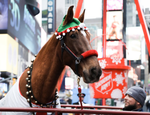 Horsin’ around in Times Square